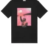 Bagliore Graphic T-Shirt Black