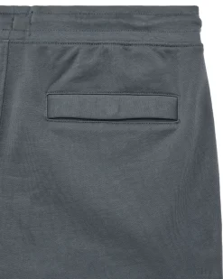 Hawkins Jogger Shorts Zinc
