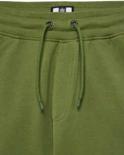 Plus Size - Pink Sands Jogger Shorts Sapling Green